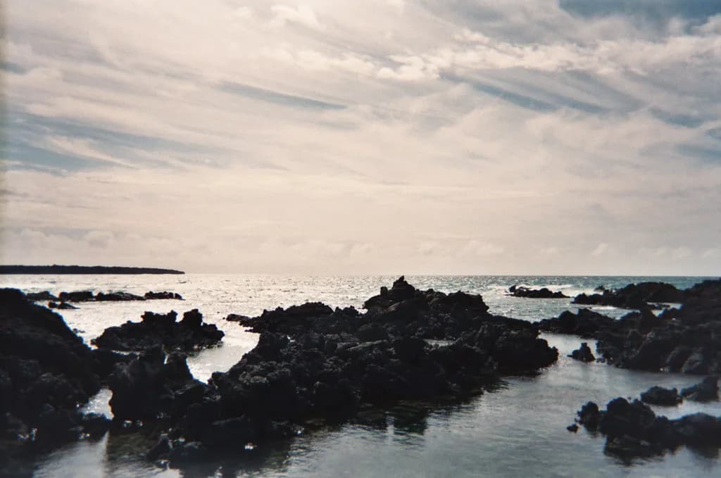 Ahihi-Kinau Snorkeling: Entry Points and Lava-Reef Guide