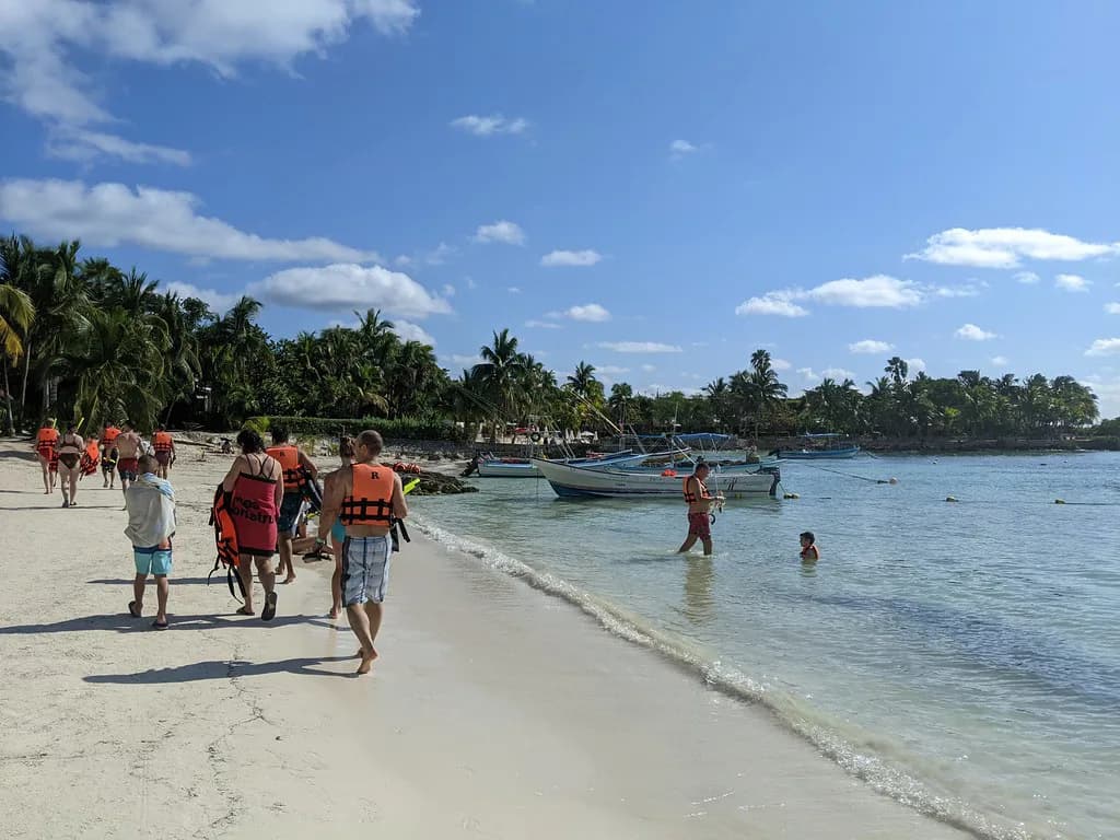 Akumal Snorkeling Guide: Turtles, Rules & Best Time to Go