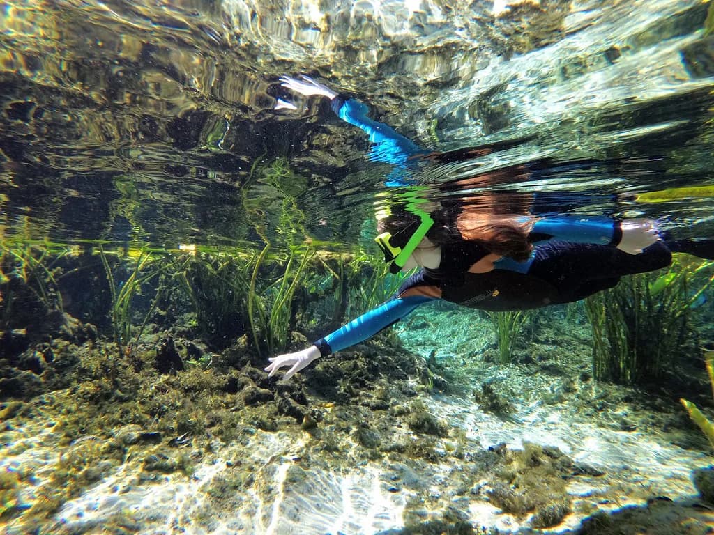 Alexander Springs Snorkeling Guide: Entry, Depth & What You'll See