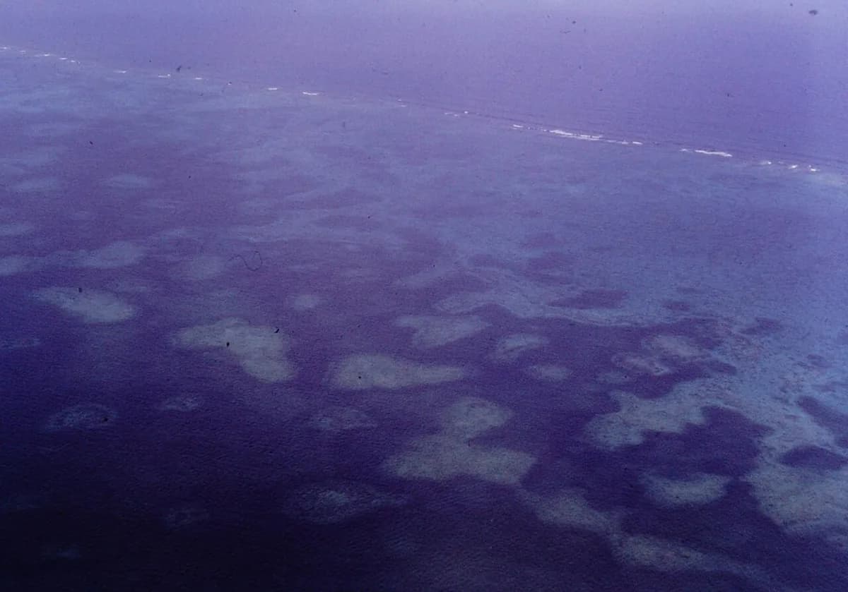Andros Barrier Reef Snorkeling: Bahamas Sites & Entry