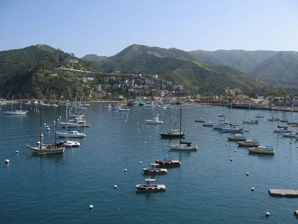 Avalon Snorkeling: Casino Point Dive Park and Lovers Cove Guide