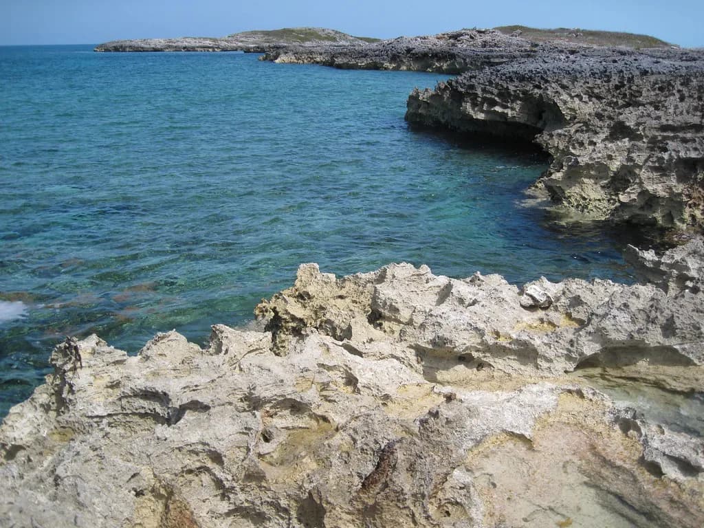 Bahamas Snorkeling Tours: Nassau Boat Trips vs Shore Reefs