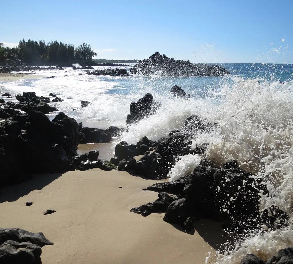 Beach 69 Snorkeling Big Island: Entry & Reef Guide