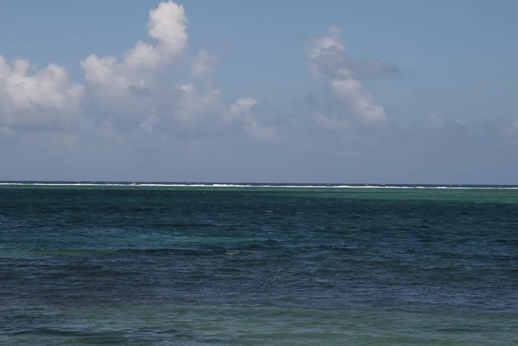 Belize Barrier Reef Snorkeling: Where to Go and Plan