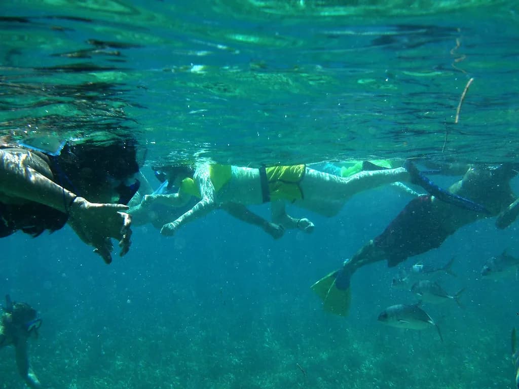 Snorkeling in Belize Guide: Reefs and Cayes to Choose