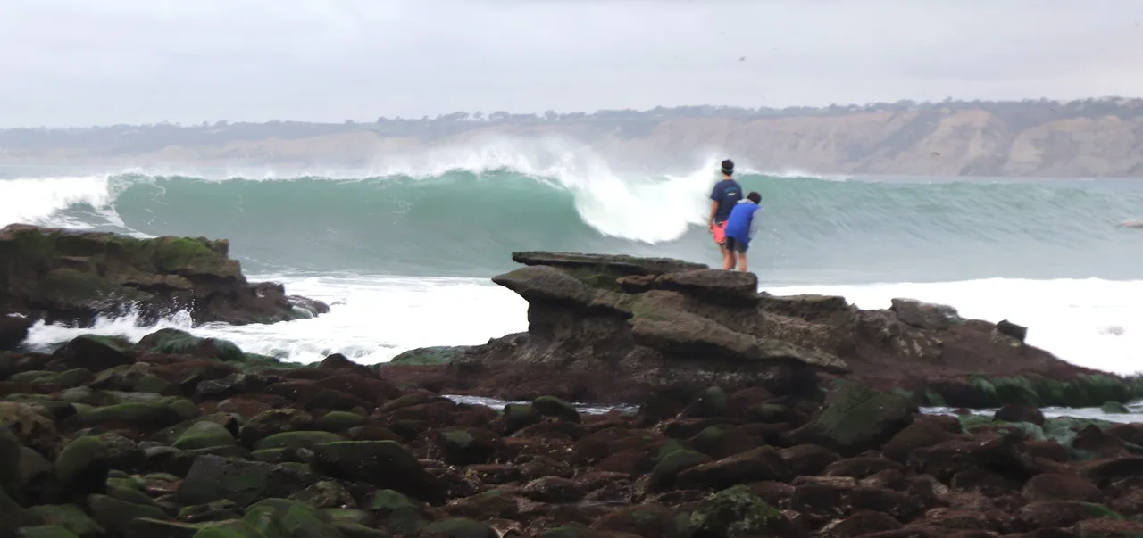 Best Time to Snorkel in La Jolla: Seasons, Tides and Timing
