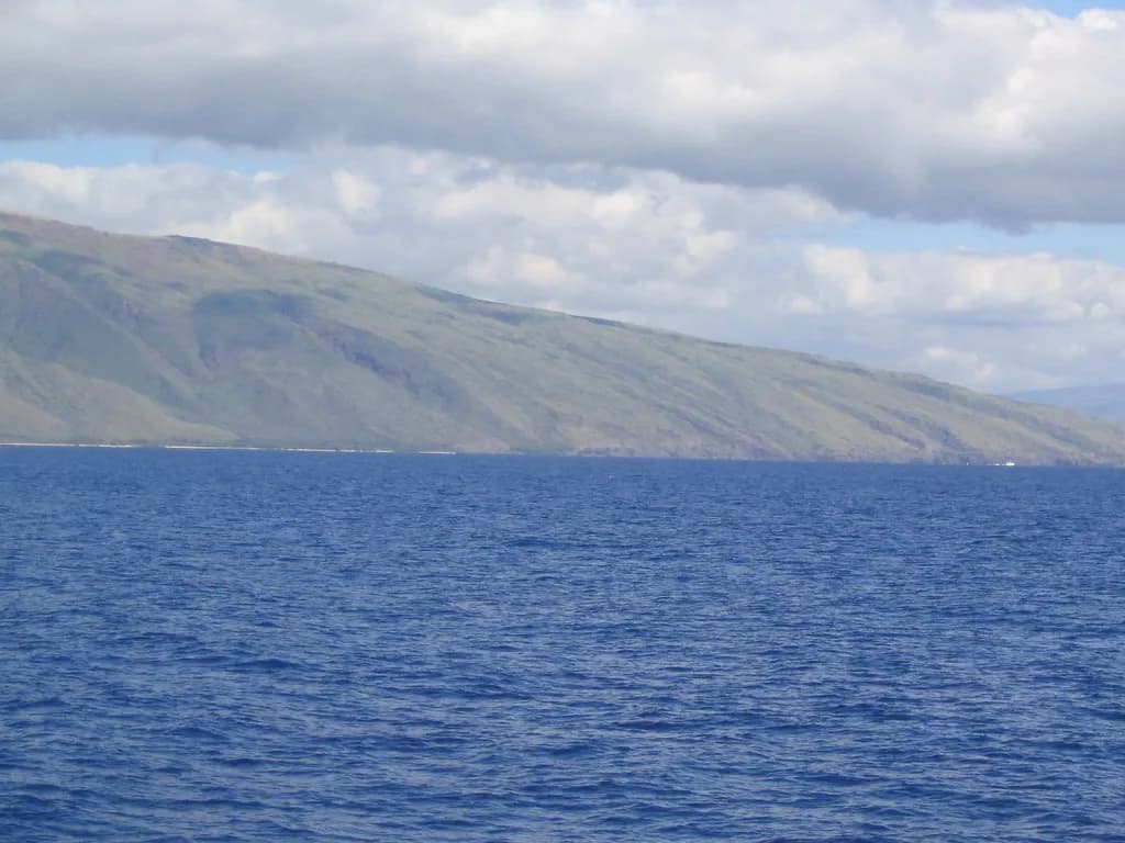 Best Time to Snorkel in Maui: Morning, Season and Swell