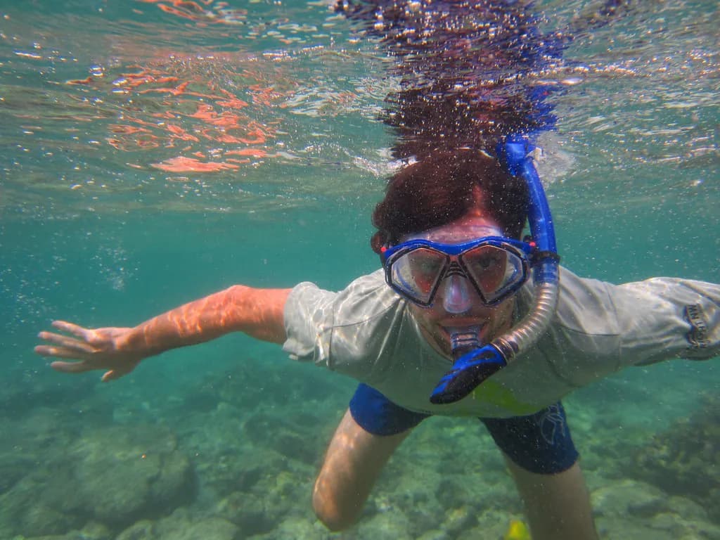 Snorkel Rental Big Island: Gear and Pickup Guide