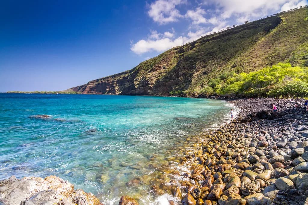Big Island Snorkeling Tours: Which Trip Fits Your Day