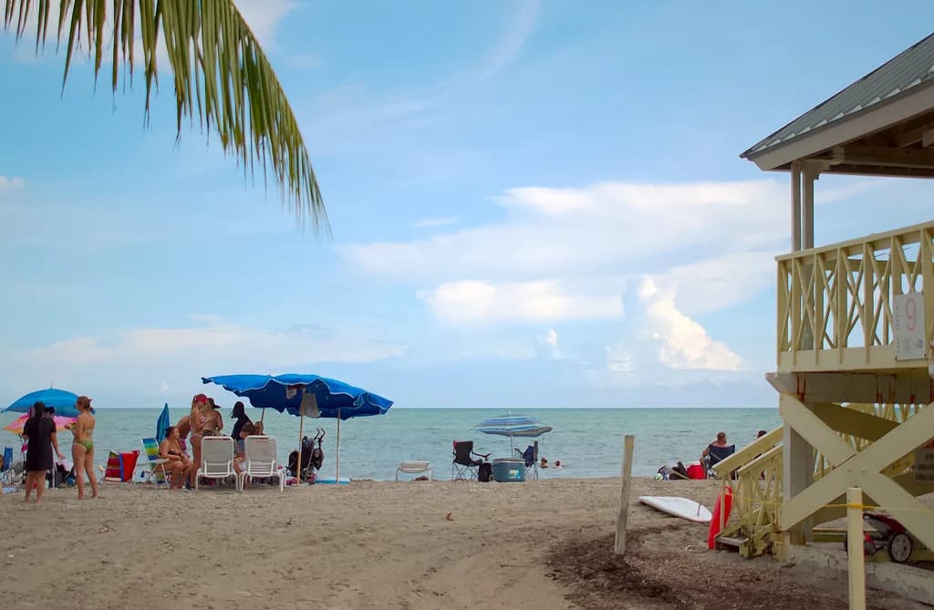 Bill Baggs Snorkeling: What to Expect in Biscayne