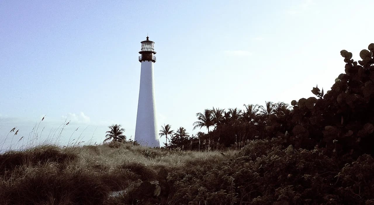 Biscayne National Park Snorkeling Tours: Which Reef Trip
