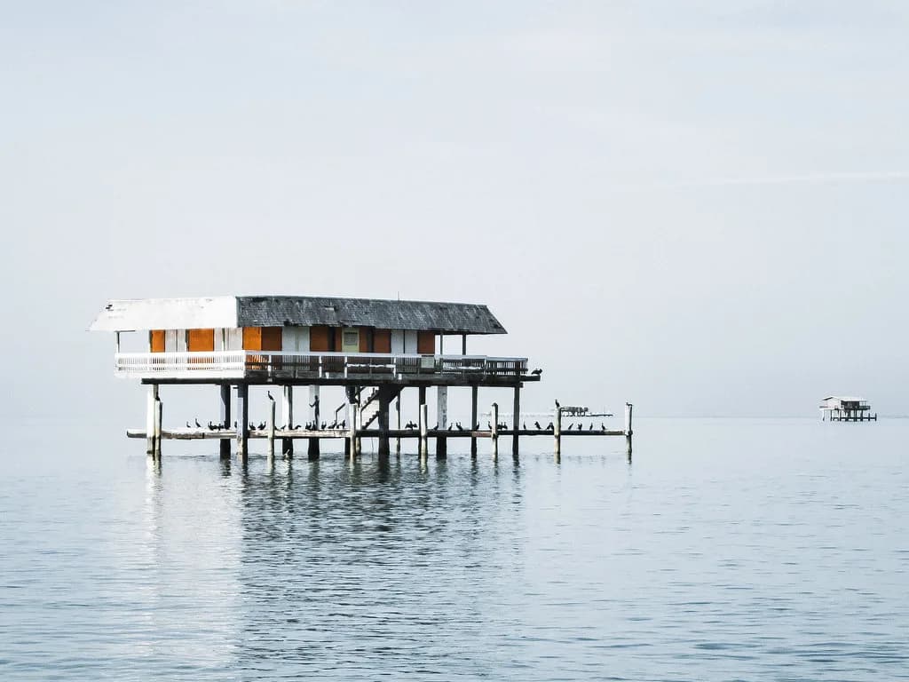 Biscayne National Park Snorkeling: Reefs vs Wrecks