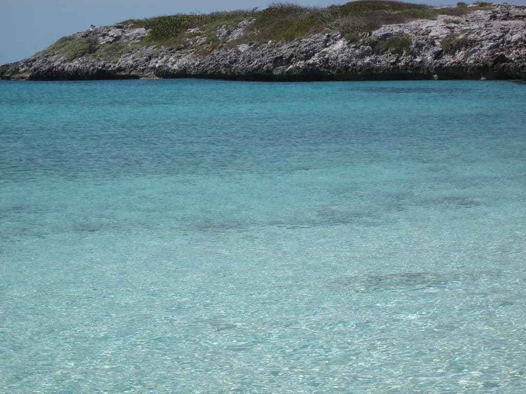 Blue Lagoon Island Snorkeling: Bahamas Reef Guide