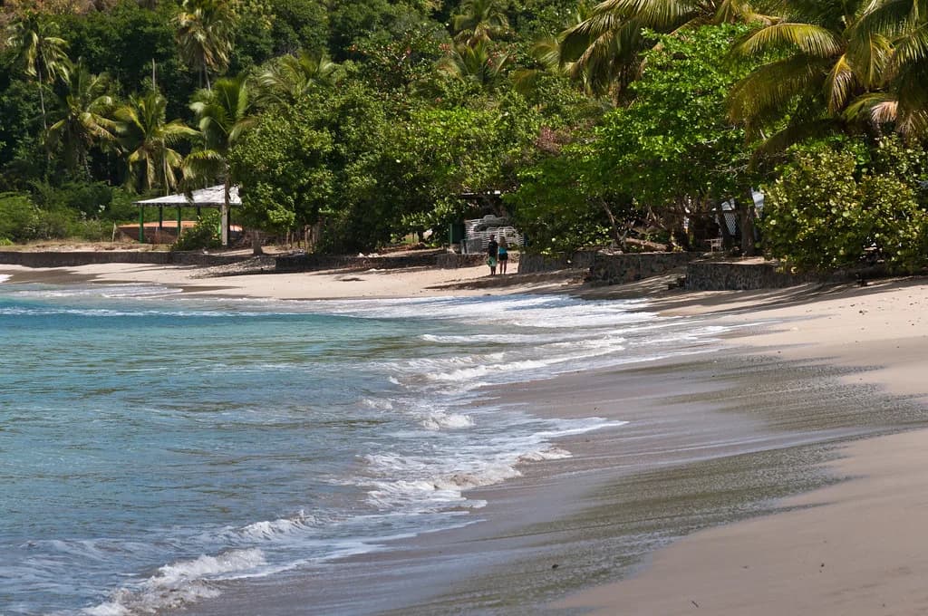 Brewers Bay, Tortola Snorkeling: Reef and Entry Guide
