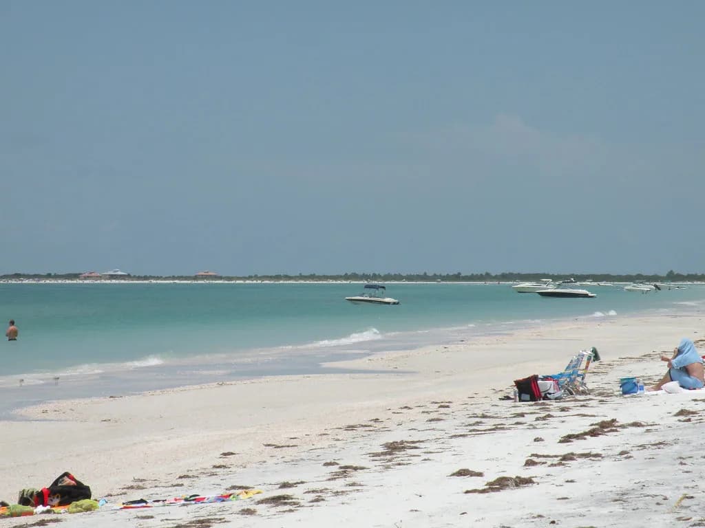 Caladesi Island Snorkeling: A Boat-Access Beach Guide