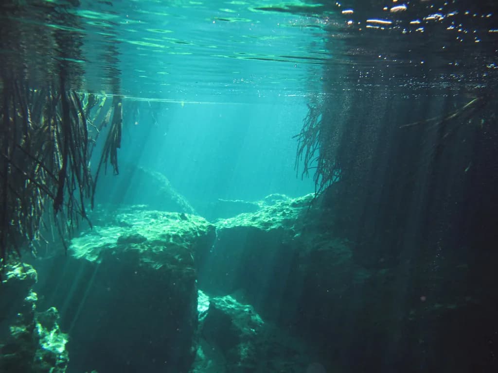Snorkeling in Casa Cenote: Playa del Carmen Guide