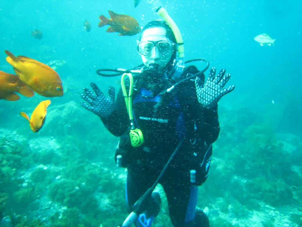 Casino Point Snorkeling: Catalina Island Dive Guide