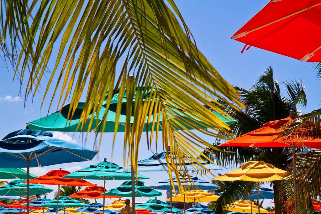 Castaway Cay Snorkeling: The Lagoon, the Statues and What It Costs