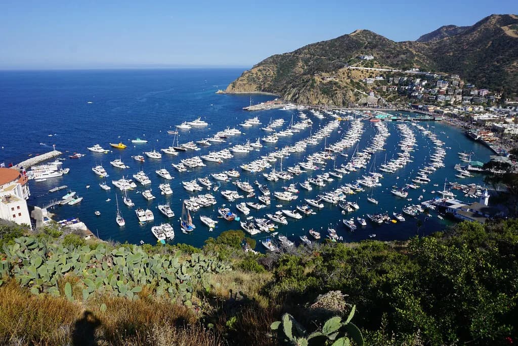 Snorkel Rental on Catalina Island: Avalon Gear Guide