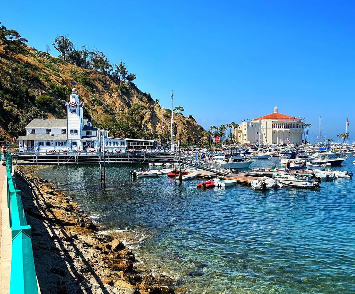 Snorkeling on Catalina Island: Choose the Best Spots