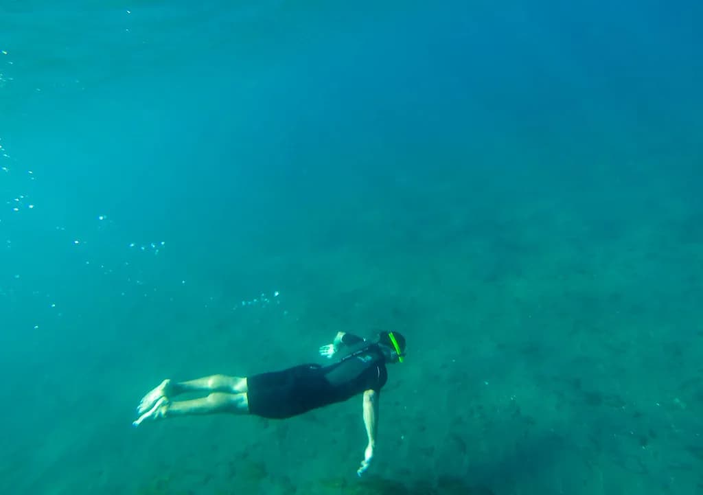 Snorkeling in Channel Islands: Where to Get in the Water