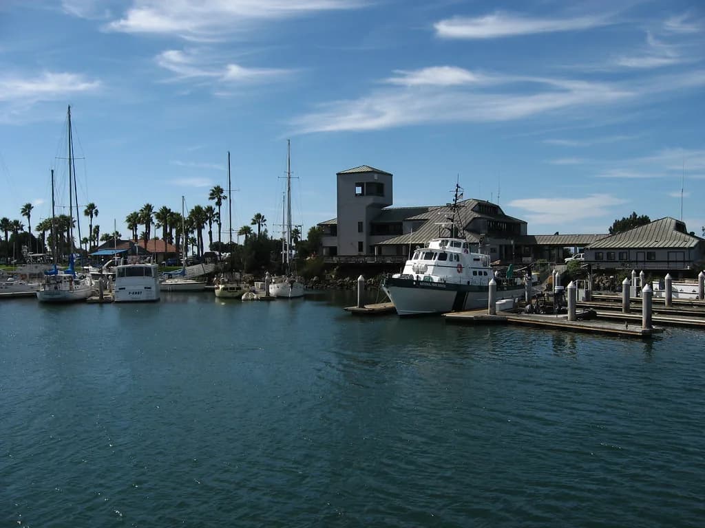 Channel Islands Snorkeling Tours: Which Trip to Book