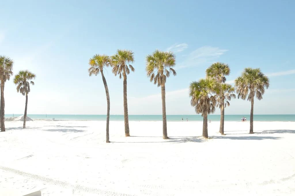 Clearwater Snorkeling: Shore, Shell Key and Boat Trips