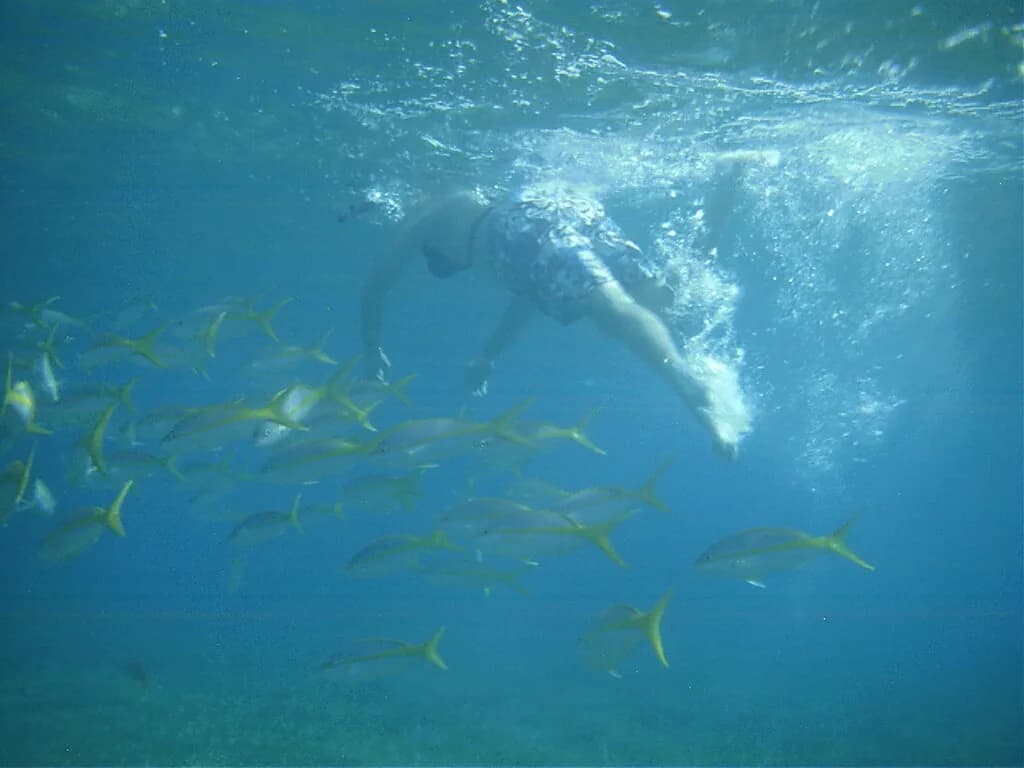 CocoCay Snorkeling: Shore Spots, Gear, and What to Expect