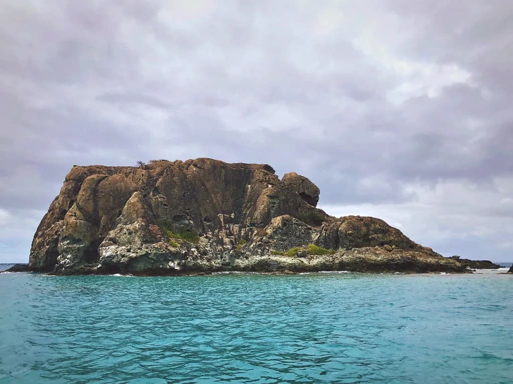 Creole Rock Snorkeling: St. Maarten Reef Guide