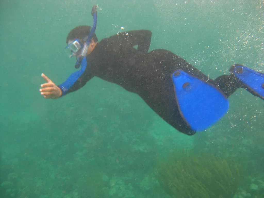 Culebra Snorkeling: Best Beaches, Reefs and How to Get In