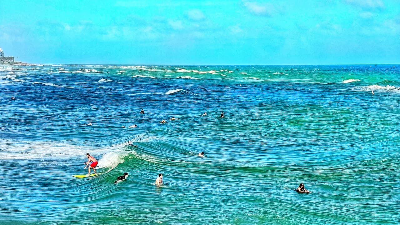 Deerfield Beach Snorkeling: Turtle Reef and Beach-Entry Guide