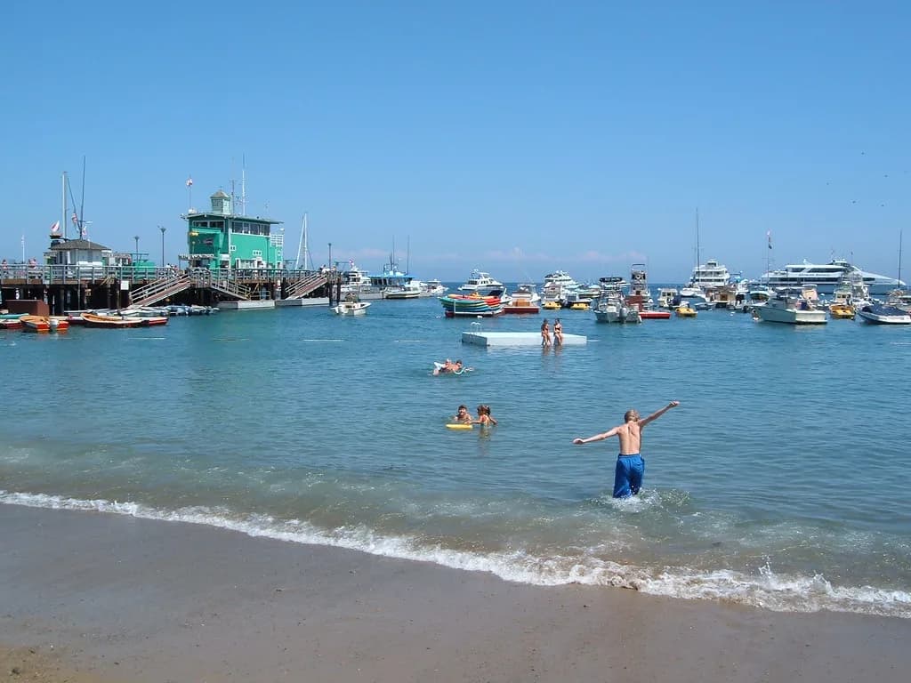 Snorkeling Descanso Beach, Catalina Island: What to Expect