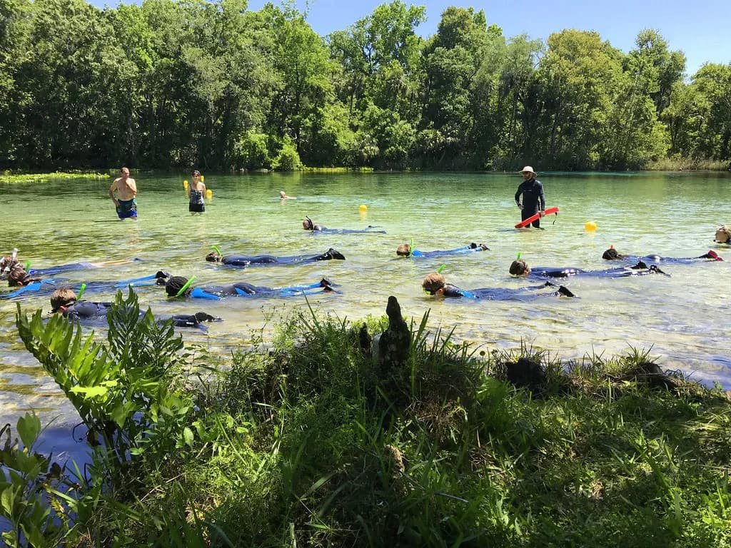 Devils Den Snorkeling Guide: Plan Your Florida Springs Visit