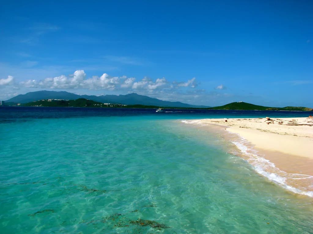Fajardo Snorkeling: Icacos, Seven Seas and Boat Tours Compared