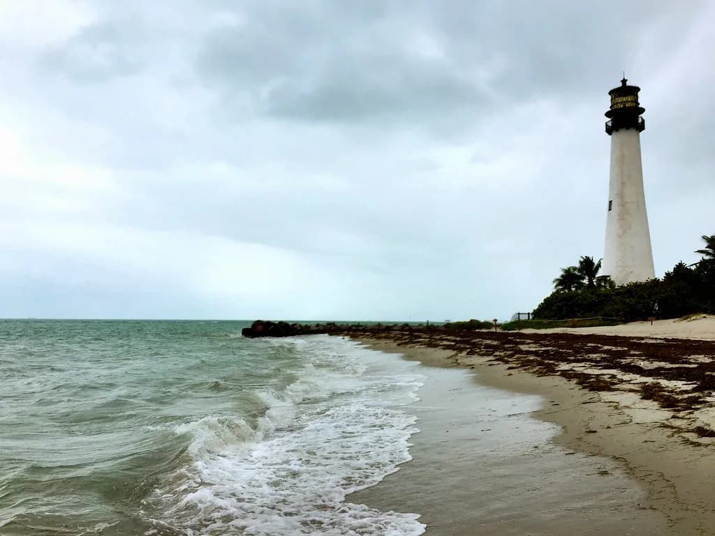 Snorkeling in Florida: Shore vs. Boat Spots Guide