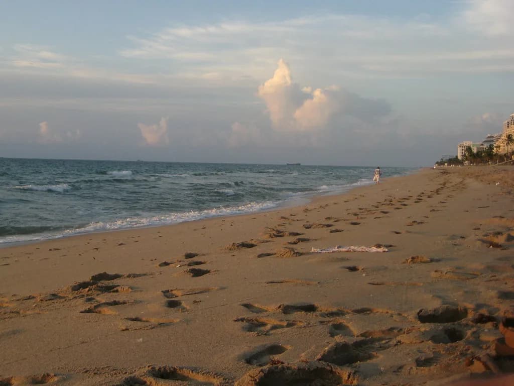Snorkeling in Fort Lauderdale: Beach, Reef and Boat Sites
