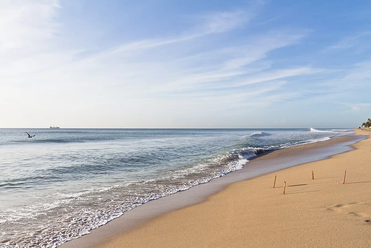 Fort Lauderdale Snorkeling Tours: Choosing Reef & Boat Trips