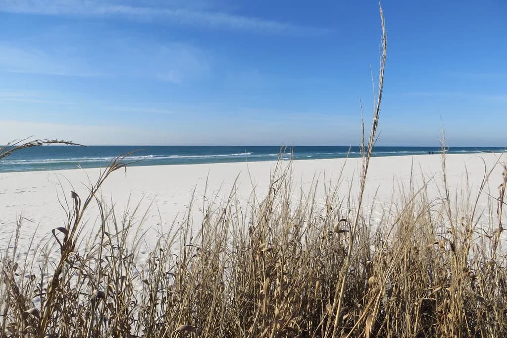 Fort Pickens Snorkeling: Is It Worth It in Pensacola?