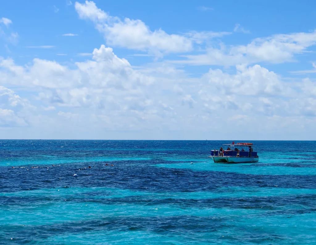 Grecian Rocks Snorkeling: Key Largo Shallow Reef Guide