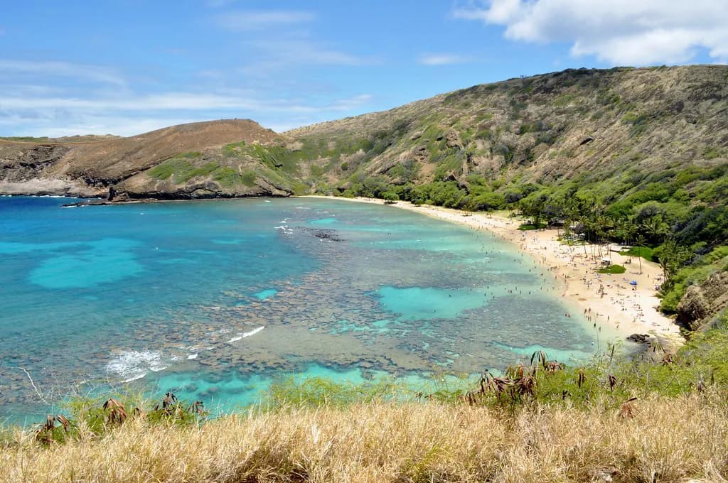 Hanauma Bay Snorkeling Guide: Oahu Entry and What to Expect