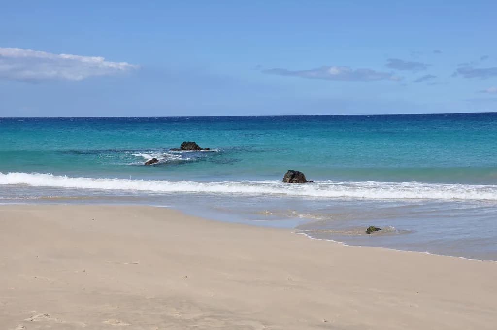 Hapuna Beach Snorkeling: Big Island Spots and When to Skip