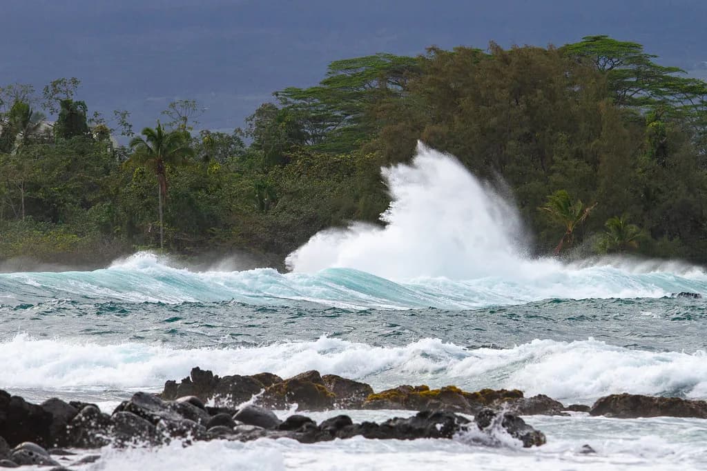 Hilo Snorkeling: Richardson Ocean Park and East Side Spots