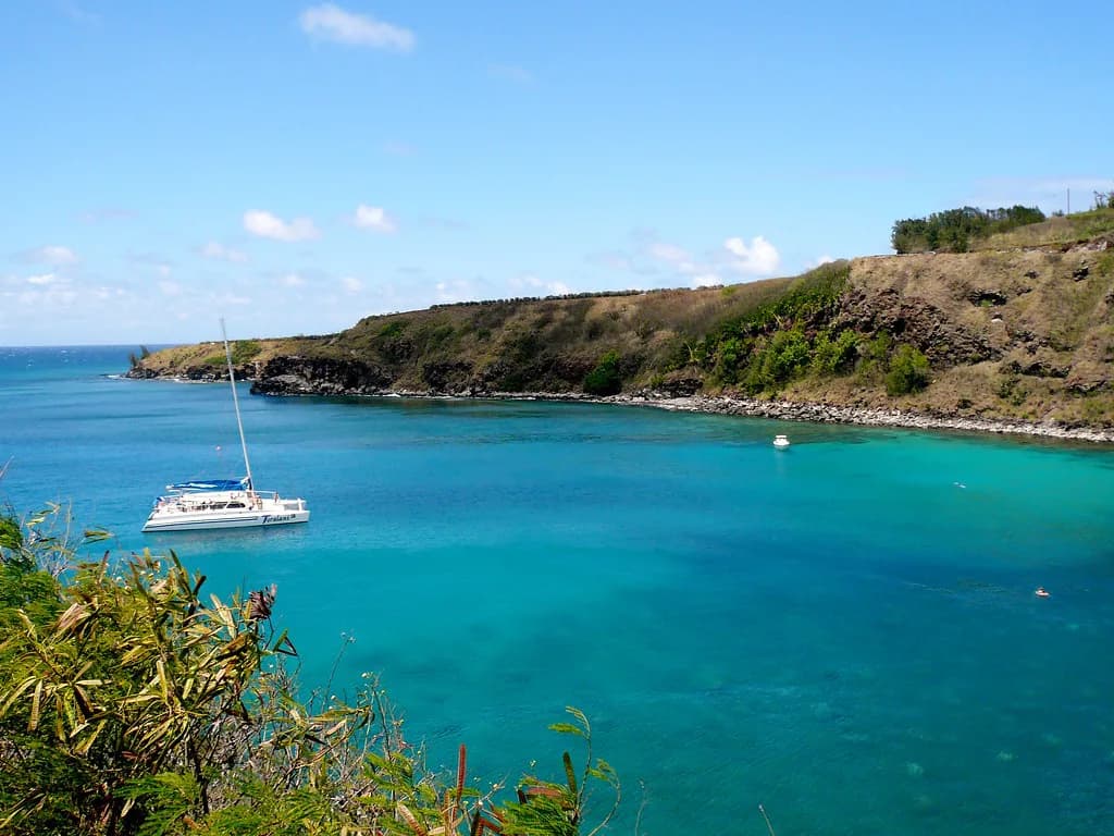 Honolua Bay Snorkeling: Maui Entry Point and Reef Guide