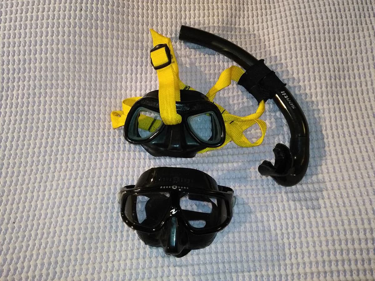 Snorkel Mask Defog Guide: Snorkel Gear Care Routine