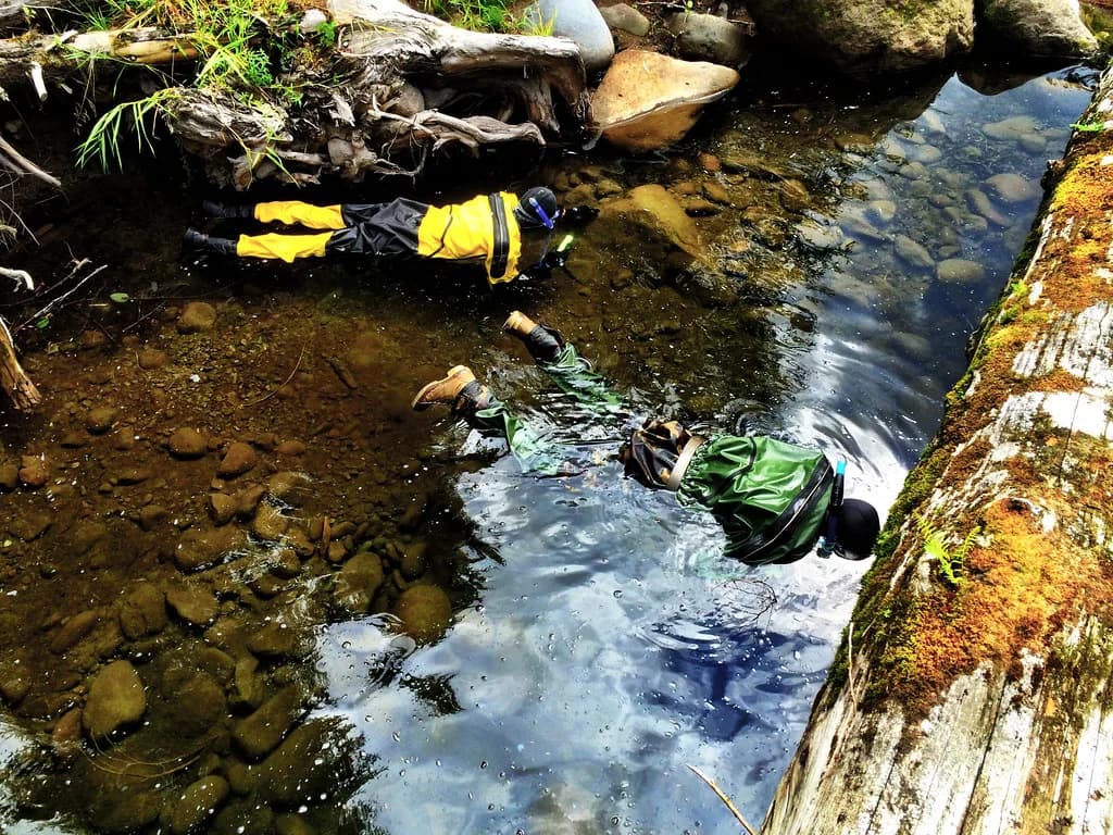 Is Snorkeling Dangerous? Learn to Snorkel Safely