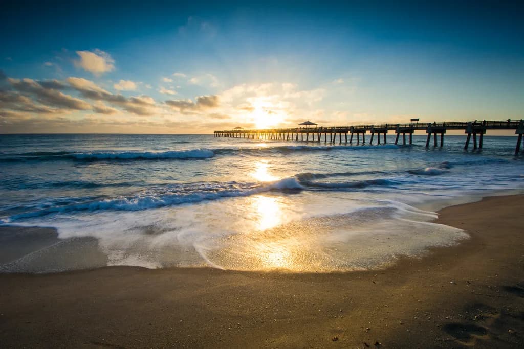 Juno Beach Snorkeling: Entry Points, Reefs and What You'll See