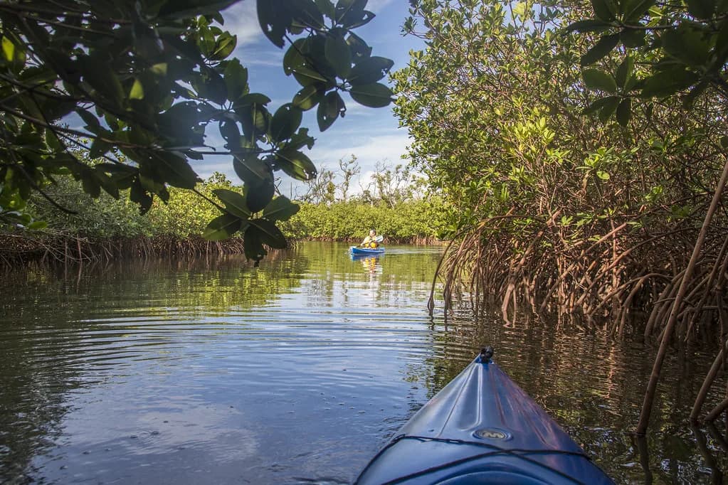Jupiter Snorkeling: Where to Get In and What You'll See