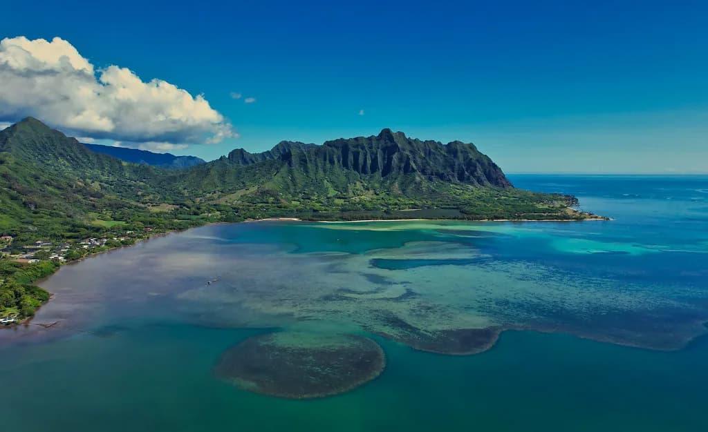 Kaneohe Bay Snorkeling on Oahu: Sandbar and Reef Guide