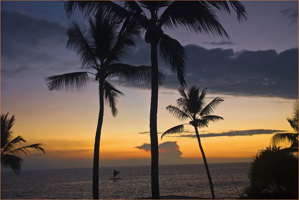 Keauhou Bay Snorkeling Guide: Reef Life and Big Island Tips