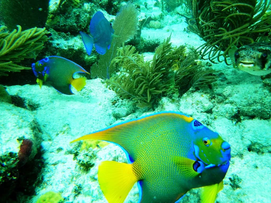 Key Largo, Florida